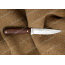Нож Пескарь. Цельнометаллический. Орех. Сталь 95Х18