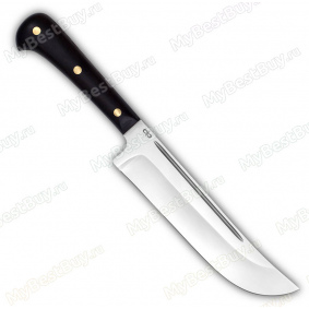 Нож Пчак-Н. Цельнометаллический. Граб. Сталь 95Х18