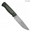 Нож Стриж-Т. Цельнометаллический. Карбон зебра зелёный. Белый дамаск